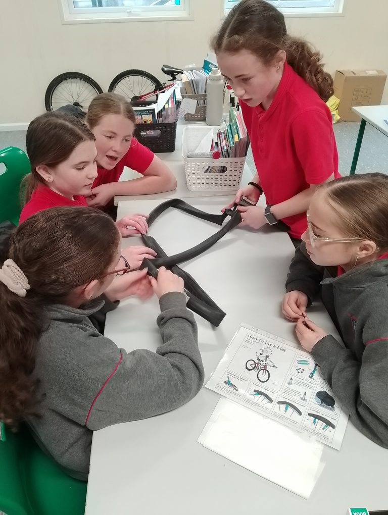 We are wheelie going places!